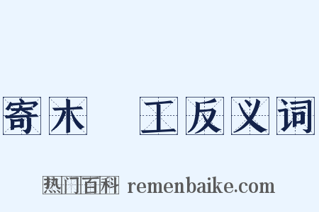 寄木細工反义词是什么意思的图片